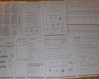 CURRICULUM FOR VPK-K (2017-2018)