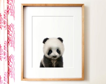 Panda print, Panda nursery art, PRINTABLE art, Nursery decor, Animal art, Baby animals, Nursery wall art, Kids art, The Crown Prints