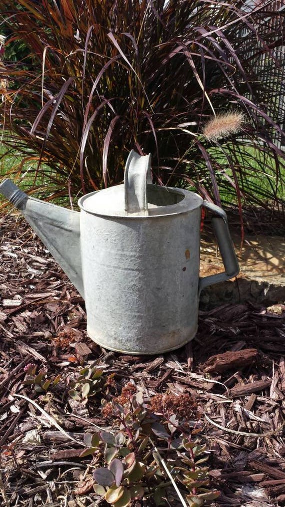 Vintage Galvanized Watering Can Perfect For Garden Use or