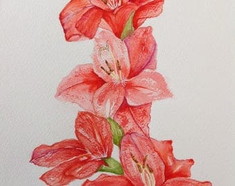 Gladiolus watercolor | Etsy