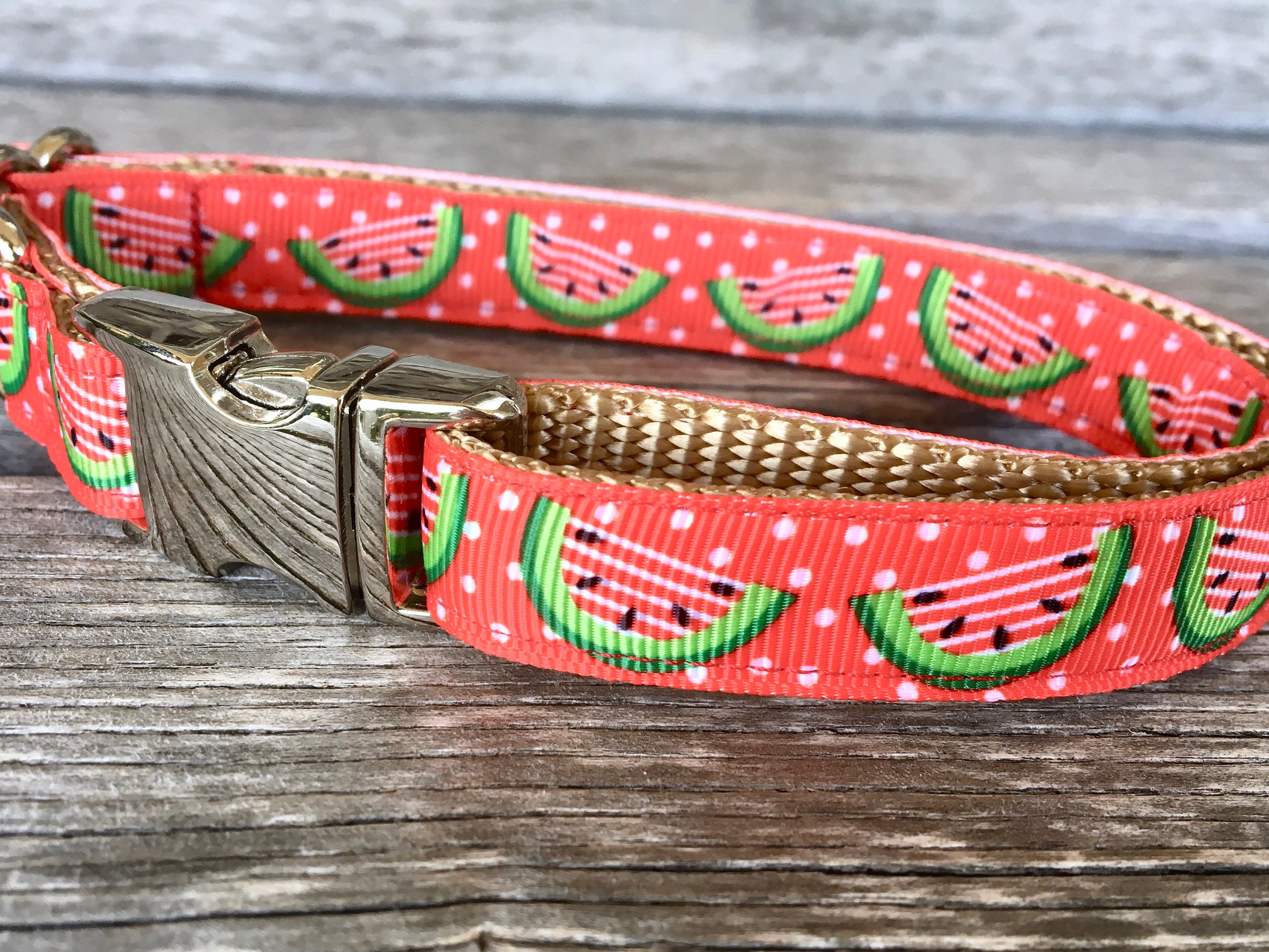 Watermelon 5/8 Dog Collar Silver Buckle Dog Collar