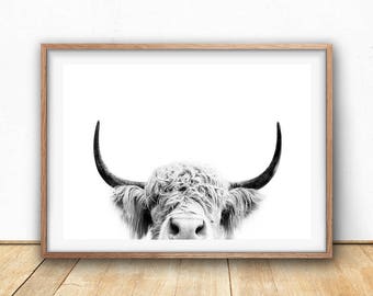 Highland Cow Print - Farm Animal Wall Art, Digital Download, Cow Poster, Cattle Photography, Animal Portrait, Black And White, Farm Nursery