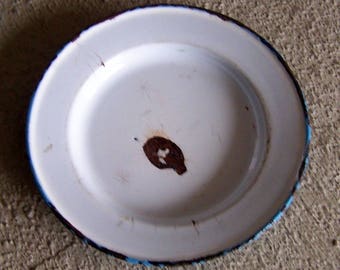 Vintage Plate, Farmhouse Antique, Kitchen Decor, Blue Enamelware Dish, Metal Camp Plate, Log Cabin Decor, Lodge Decor