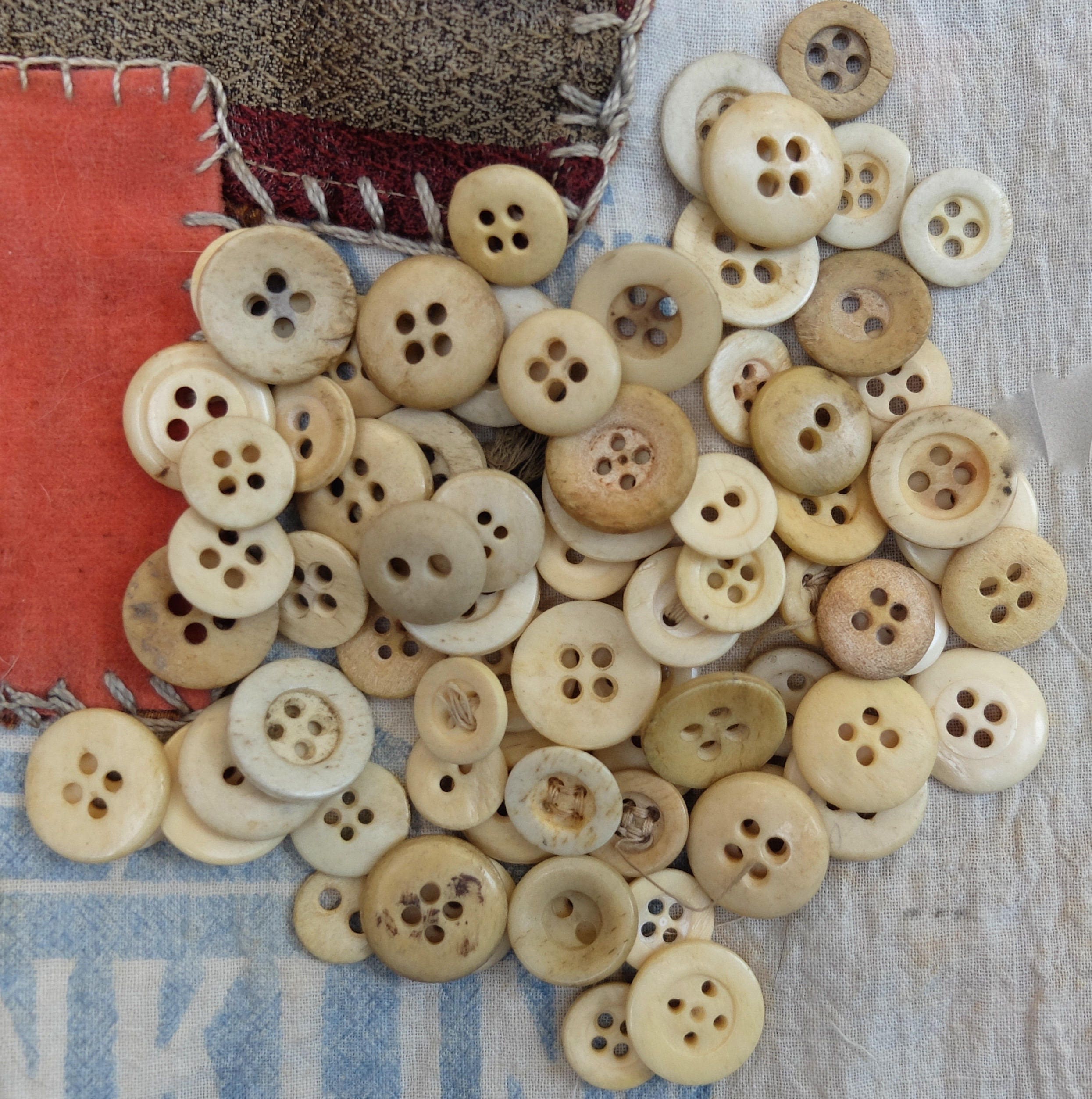 70 Vintage Bone Buttons Underwear Button Supply