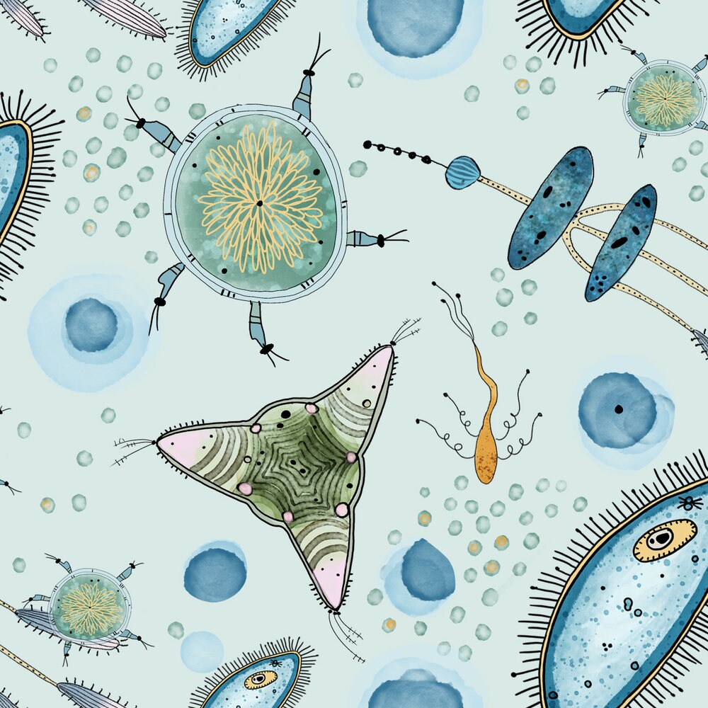 Bacteria Fabric Microbe By Jennifer Geldard Bacteria