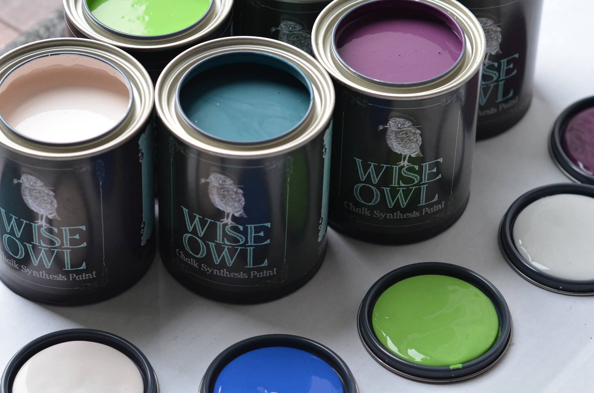 Wise Owl Chalk Synthesis Paint Pint