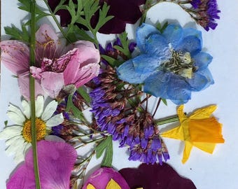Dried flowers | Etsy