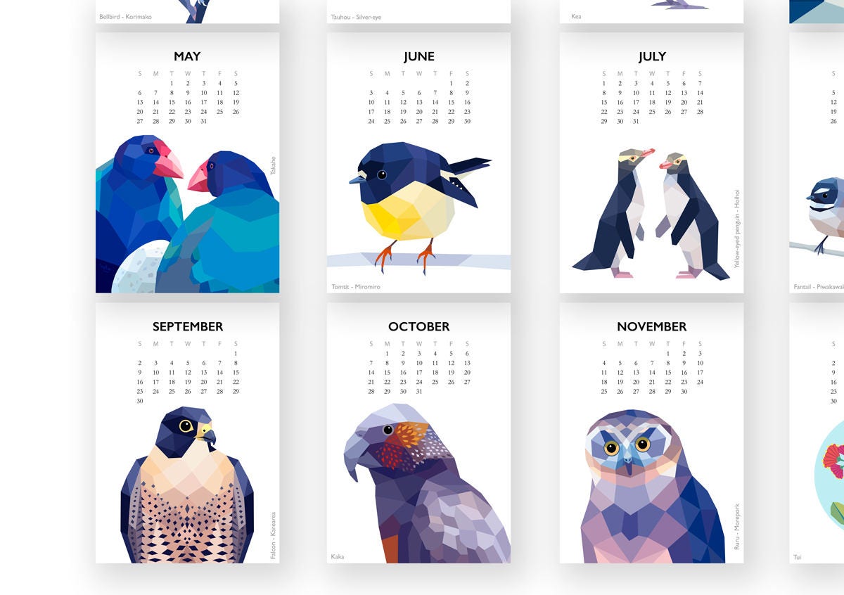 on sale 2018 wall calendar new zealand birds calendar on sale 2018 wall calendar new zealand birds calendar