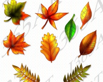 50% OFF fall leaves clipart, Fall leaves clipart, autumn leaves clipart, Autumn Leaves Clip Art Scrapbooking, Invitations, Digital, PNG Jpeg