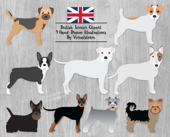 Dog Clipart Terriers British UK Breeds Pet Clipart Bull