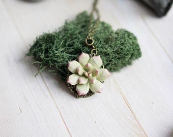 Succulent necklace. Botanical necklace. Succulent jewelry. Succulent pendant. Vintage necklace. Succulent planter. Succulent plants.