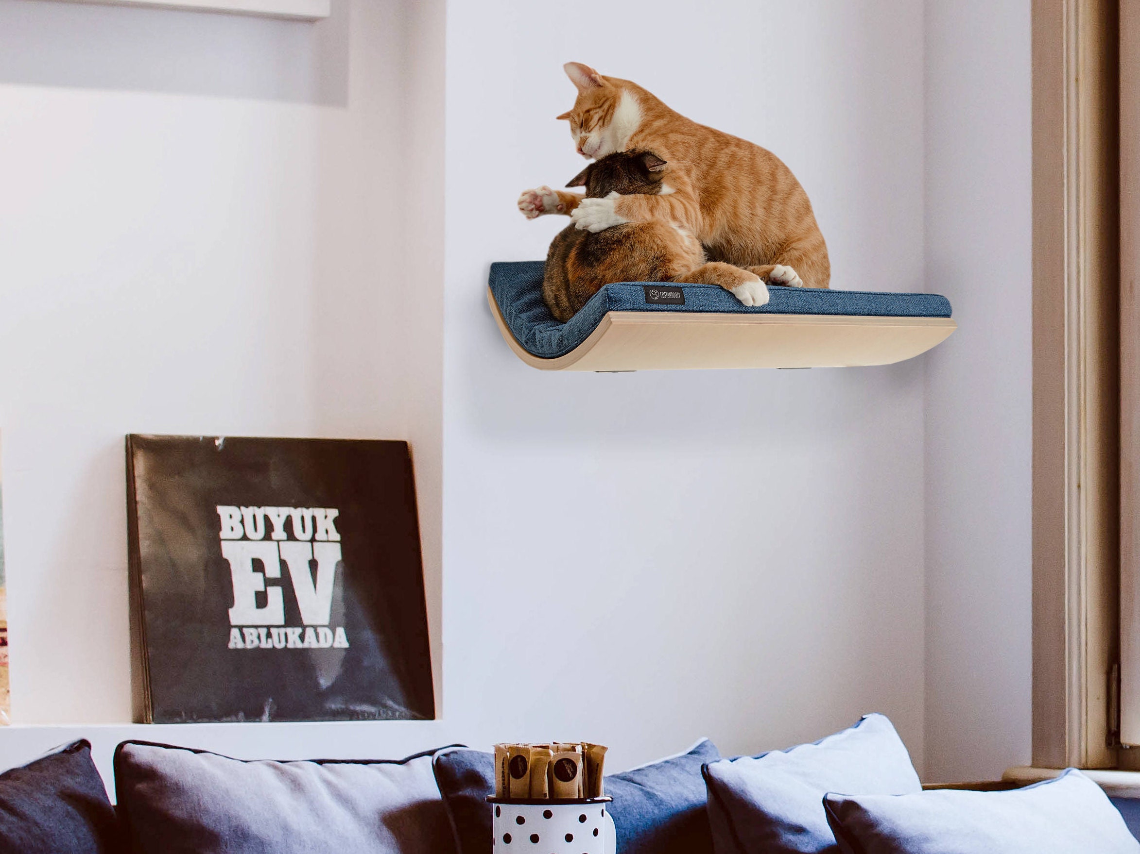 38 Best Pictures Cat Wall Perch Shelf / Arf Pets Cat Perch, Wall
