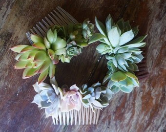 Succulent Hair Comb