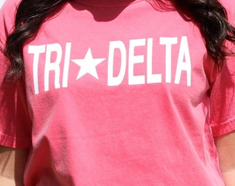 Tri Delta Shirt, Tri Delt Shirt, Sorority Shirts, Greek Shirts, Big Little Sorority, Big Little Reveal, Greek Gifts, Women's Gifts
