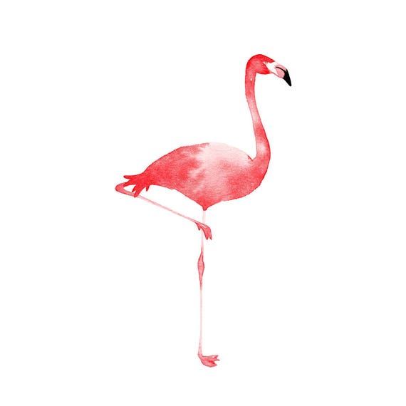 Flamingo Watercolor Print FREE U.S. Shipping