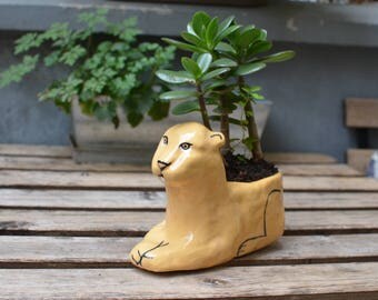The lion - Flower Pot