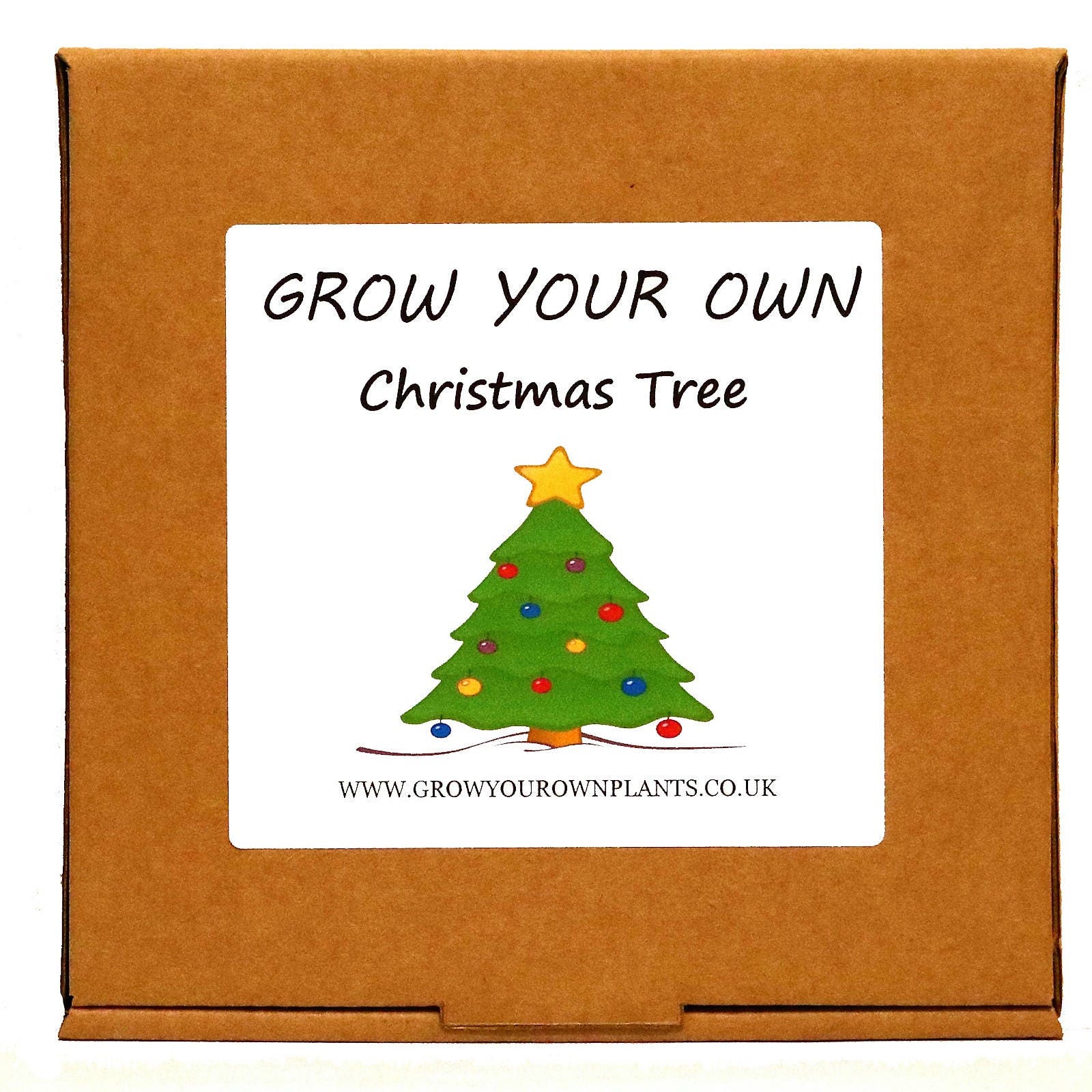 grow your own norway spruce christmas tree plant kit unusual grow your own norway spruce christmas tree plant kit unusual