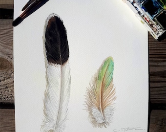 Watercolor feathers / Original Watercolor Feather