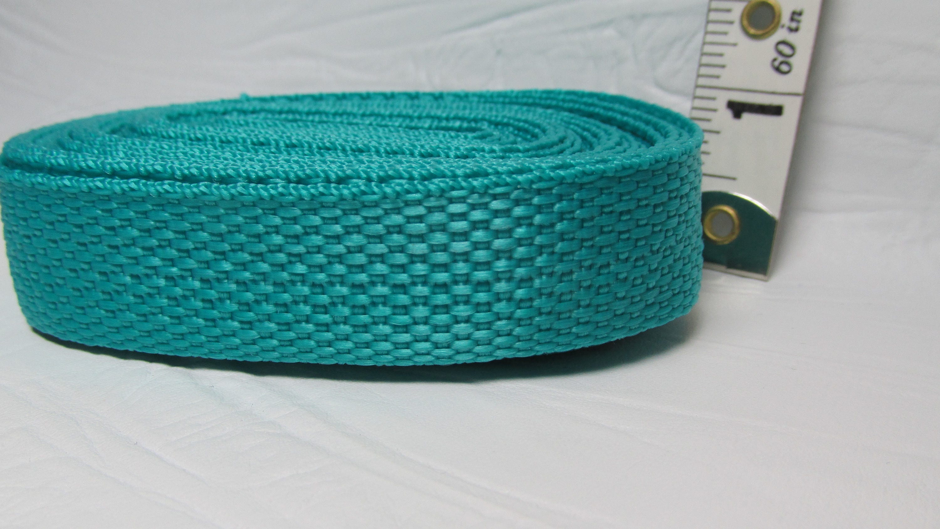 Aqua Nylon bing Strapping 3/4 inch 20 mm by the yard