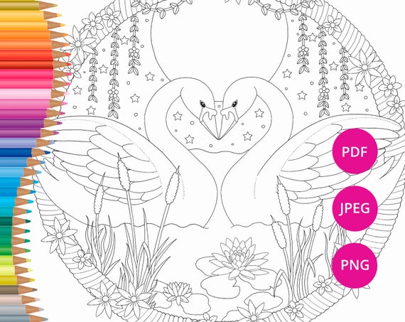 Valentines coloring pages Swan coloring pages Adult coloring
