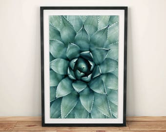 Succulent Print, Succulent Poster, Succulent Plant, Cactus Wall Art, Cactus Decor, Nature Decor, Plant Wall Art, Instant Download