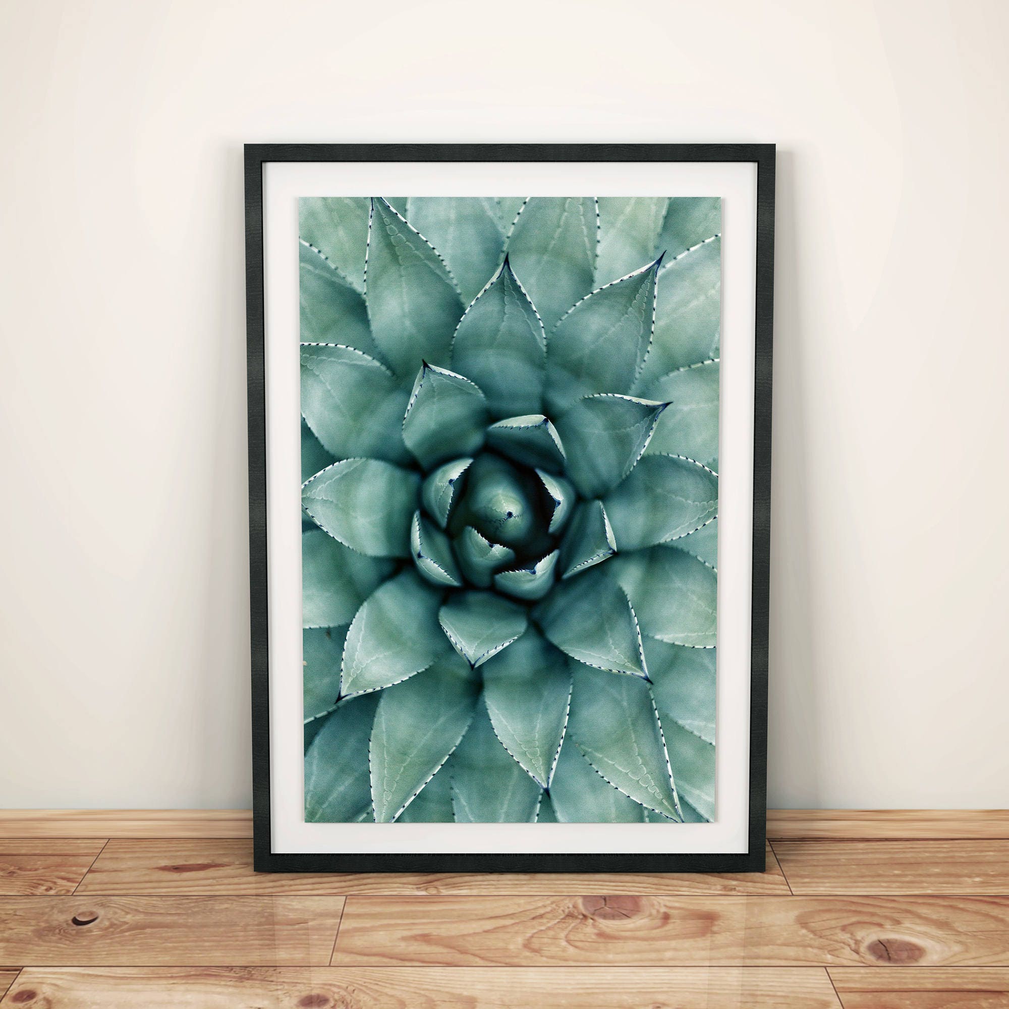 Succulent Print Succulent Poster Succulent Plant Cactus