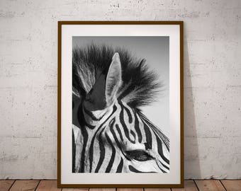 zebra decor | etsy zebra decor | etsy