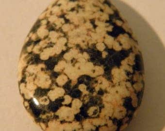 Orbicular ocean Jasper - vertical - drilled 25x19x7mm