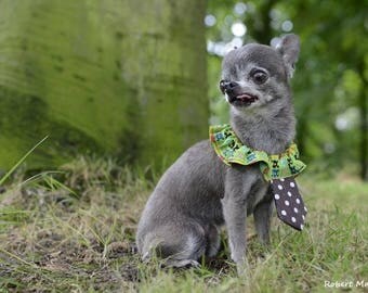 T1 skull and Brown tie dog collar