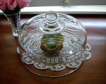Glass cake dome chipped lid cover cloche en verre 10 1/4 inch cake dome kitchen storage food cover