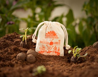 Seed Bombs "Italian Garden", 10 walnut sized & handmade seed balls
