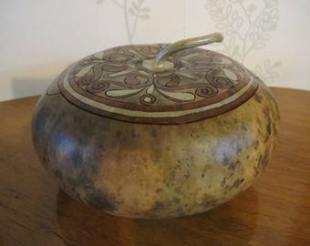 box squash gourd type flat Corsica 20 original
