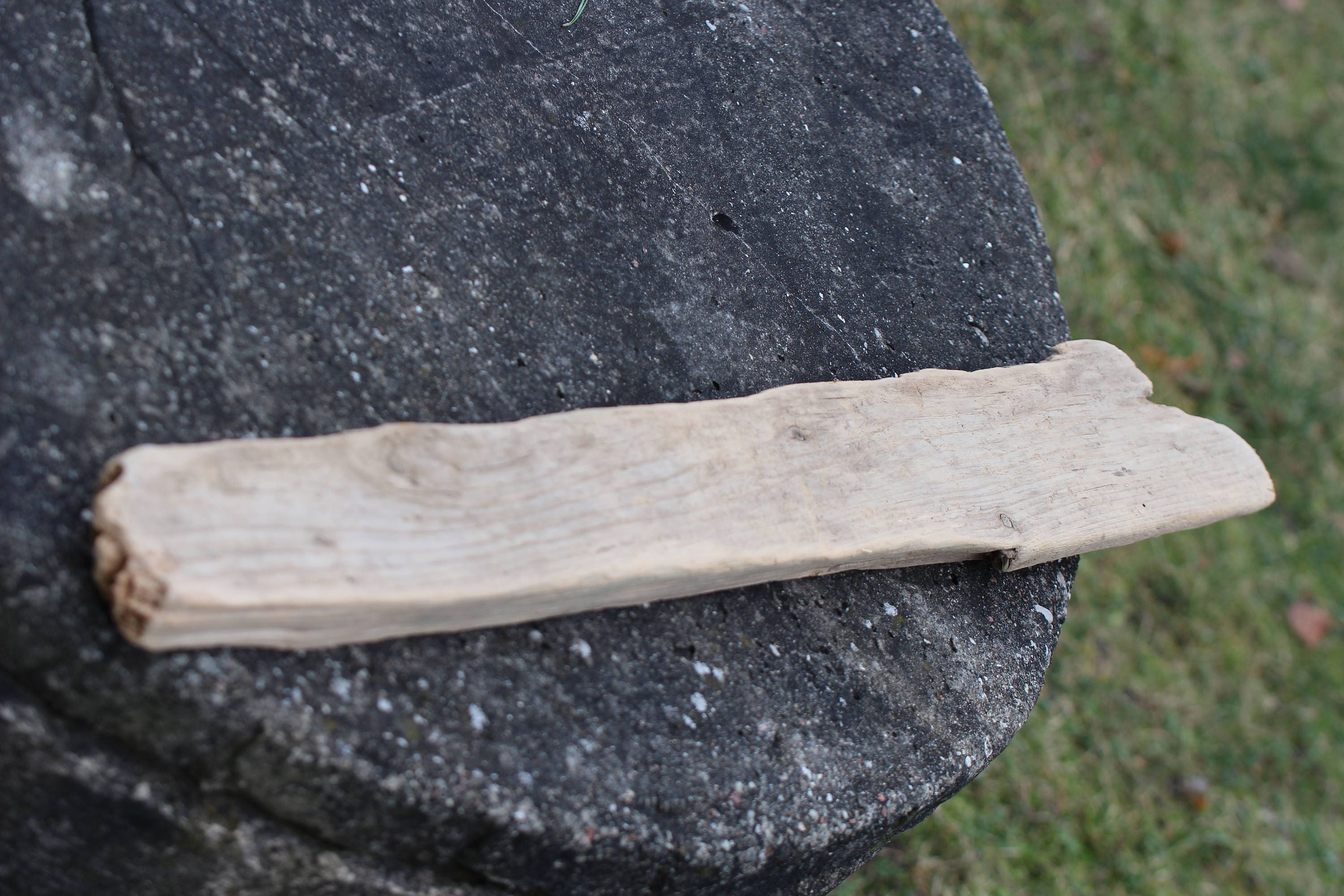 Beautiful Driftwood Flat Driftwood Rare Color from BalticBeachTreasures