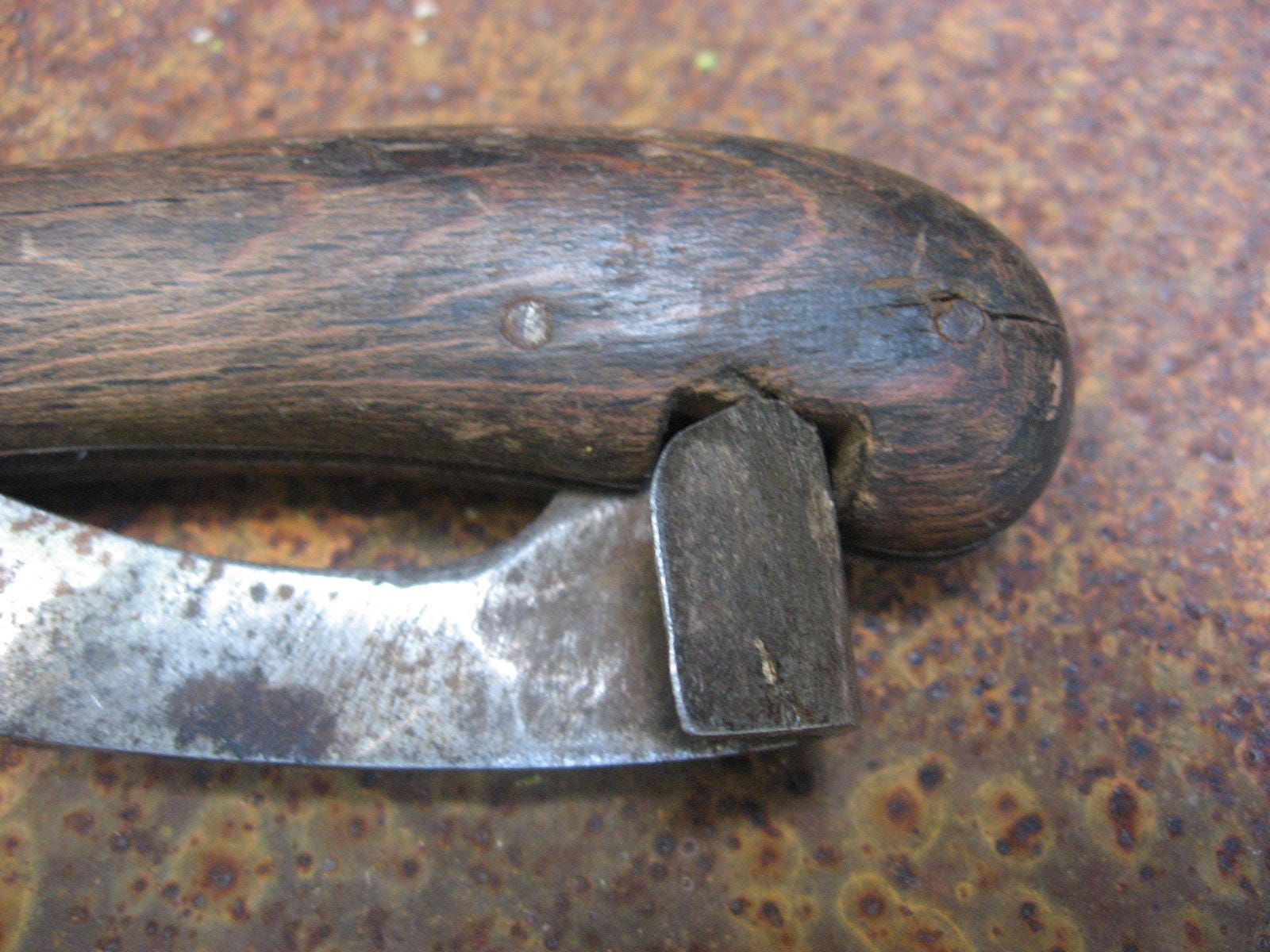 Horse Hoof Knife, folding antique. Wooden handle, steel blade