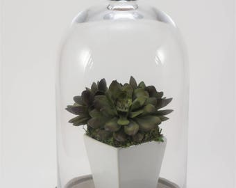 Faux Succulent Arrangement in Glass Cloche with Painted Wooden Base, Fake Succulent, Pantone Greenery Home Decor, Chalk Painted Decor