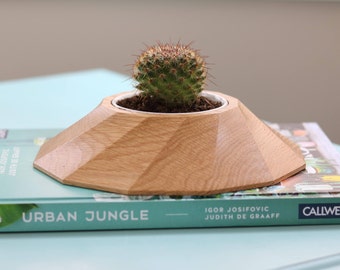 Solid Wood Succulent Planter