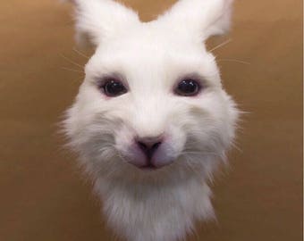Mascara de conejo / Rabbit mask
