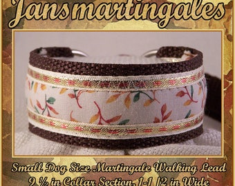 Jansmartingales, Dog Collar Leash Combination Walking Lead, Italian Greyhound, Small Dog Size, 9 1/2" Collar Section. ibrn025