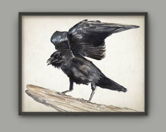Raven Watercolor Art Print, Crow Bird Painting Wall Art Poster, Gothic Decor, Black Bird Home Decor, Northwest American Crow Ornithology B12
