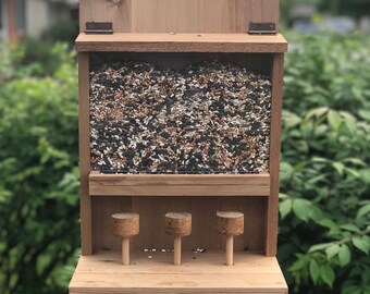 Squirrel feeder saloon