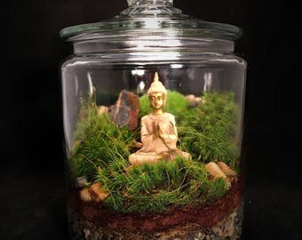 LAST ONE! Buddha Terrarium, Moss Terrarium, Zen Terrarium, Buddha, Meditation Gift, Indoor Plant, Yoga Gift, Buddha Miniature