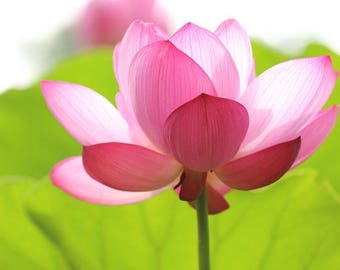 Psychic Reading 1 Question Same Day Fast Response Within 24 Hours ASAP Quick Turn Around