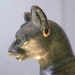 Arnaca