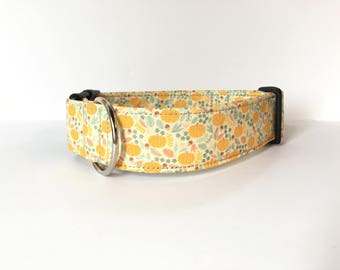 Fall Dog Collar, Embroidered Dog Collar, Personalized Dog Collar, Autumn Dog Collar, Collar, Pumpkin Collar, Thanksgiving dog collar