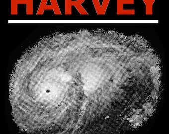 The Official Hurricane Harvey shirt