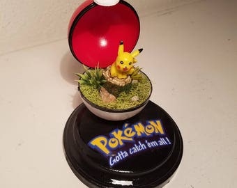 Pokemon terrarium pikachu mini pokeball with base