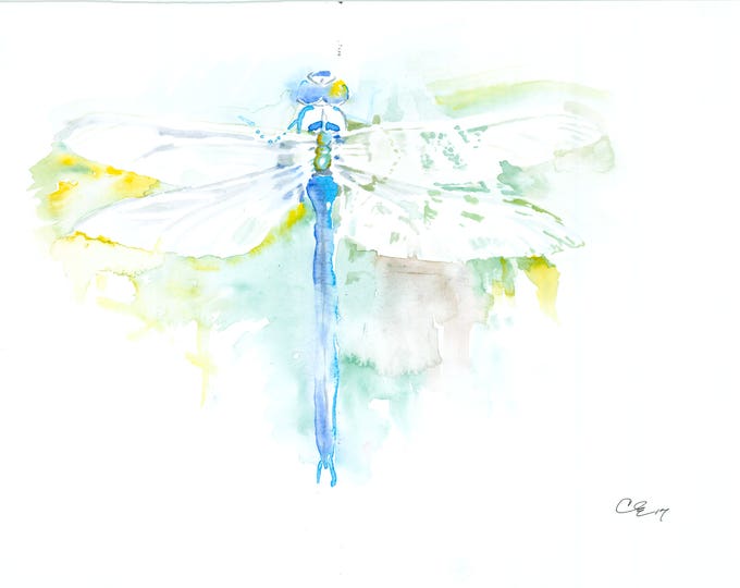 Dragonfly