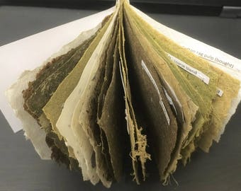 Handmade wild plant paper - standard pack