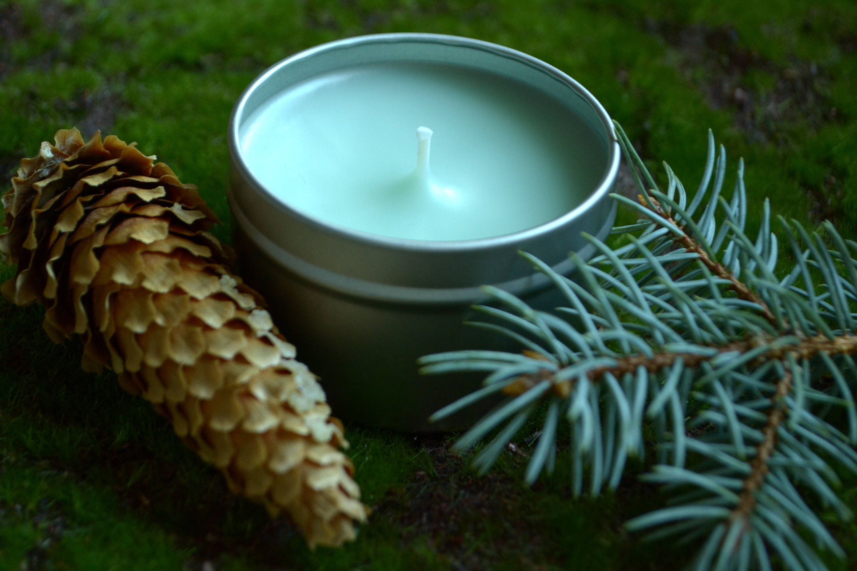 Blue Spruce Candle Handmade Candle soy candle gift for mom