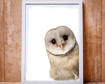 Owl Print, Owl Wall Art, Wilderness Wall Art, Owl Decor, Bird Print, Bathroom Decor, Owl Poster, Owl Photo, Gender Neutral Kids Room, Bird
